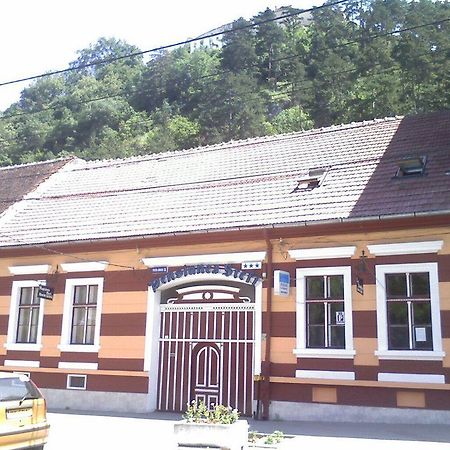 Guesthouse Stefi Rîşnov Exteriör bild